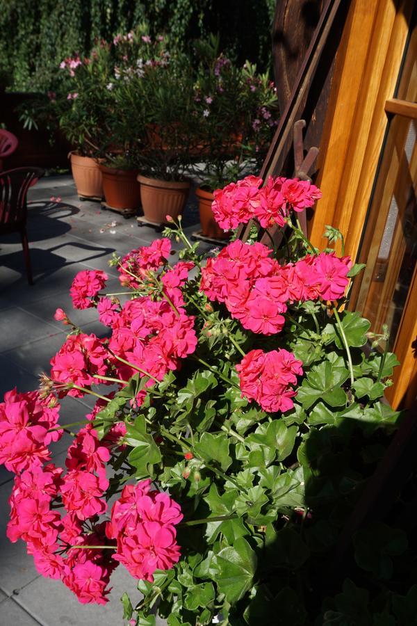 Haus Sonnenblick 호텔 바이리쉬젤 외부 사진
